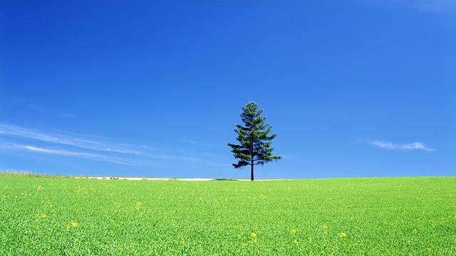 男孩名字大全:《周易》英俊潇洒的男宝名字,带有生生不息的希望-第3张图片-90博客网 男孩名字大全:《周易》英俊潇洒的男宝名字,带有生生不息的希望-第3张图片-90博客网