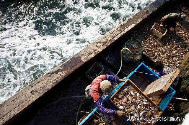 秦皇岛、山海关、北戴河,谁属于谁?-第7张图片-90博客网 秦皇岛、山海关、北戴河,谁属于谁?-第7张图片-90博客网