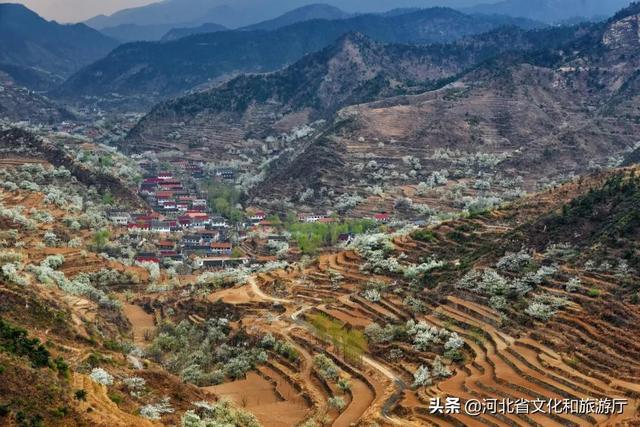 秦皇岛、山海关、北戴河,谁属于谁?-第4张图片-90博客网 秦皇岛、山海关、北戴河,谁属于谁?-第4张图片-90博客网