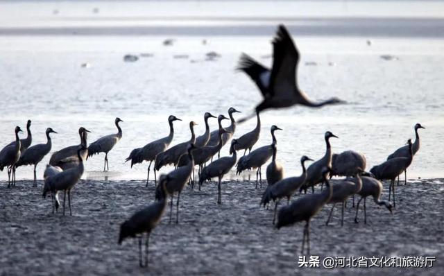 秦皇岛、山海关、北戴河,谁属于谁?-第25张图片-90博客网 秦皇岛、山海关、北戴河,谁属于谁?-第25张图片-90博客网