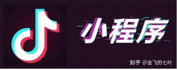2天收益2000+，抖音小程序项目拆解-第2张图片-90博客网