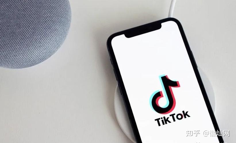 海外版抖音TikTok营销策略-第1张图片-90博客网