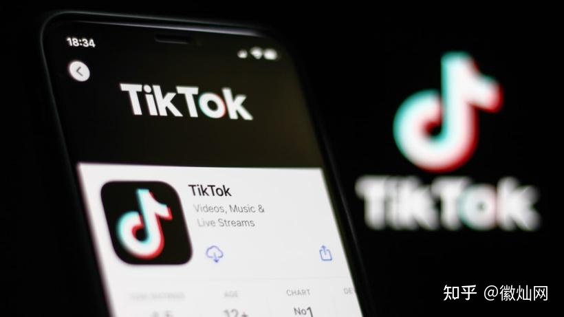海外版抖音TikTok营销策略-第2张图片-90博客网