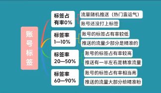 短视频账号运营实战手册、如何从0快速起号全流程-第4张图片-90博客网