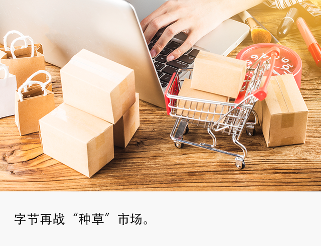 独家丨抖音将推独立种草App“可颂”，字节忘不掉小红书？-第1张图片-90博客网