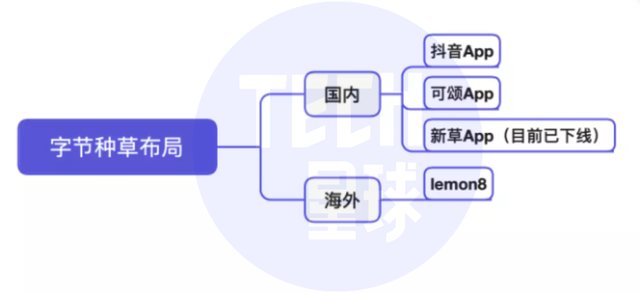 独家丨抖音将推独立种草App“可颂”，字节忘不掉小红书？-第4张图片-90博客网