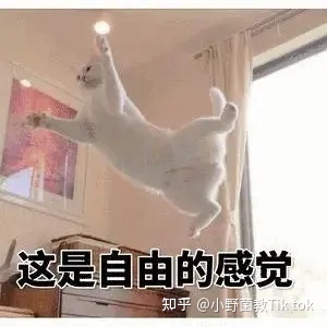 仅靠1个60秒的Tik Tok 短视频,3个月变现26W+!2022暴利 ...-第4张图片-90博客网 仅靠1个60秒的Tik Tok 短视频,3个月变现26W+!2022暴利 ...-第4张图片-90博客网