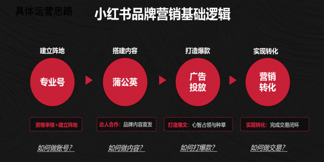 宠物、餐饮、装修、婚摄，线下门店商家如何玩转小红书？-第3张图片-90博客网