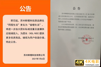 食享会关停，同程生活破产，社区团购“凛冬将至”？-第2张图片-90博客网