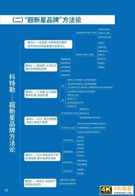 品类细分，需求挖掘：2021超新星品牌白皮书（推荐）-第7张图片-90博客网