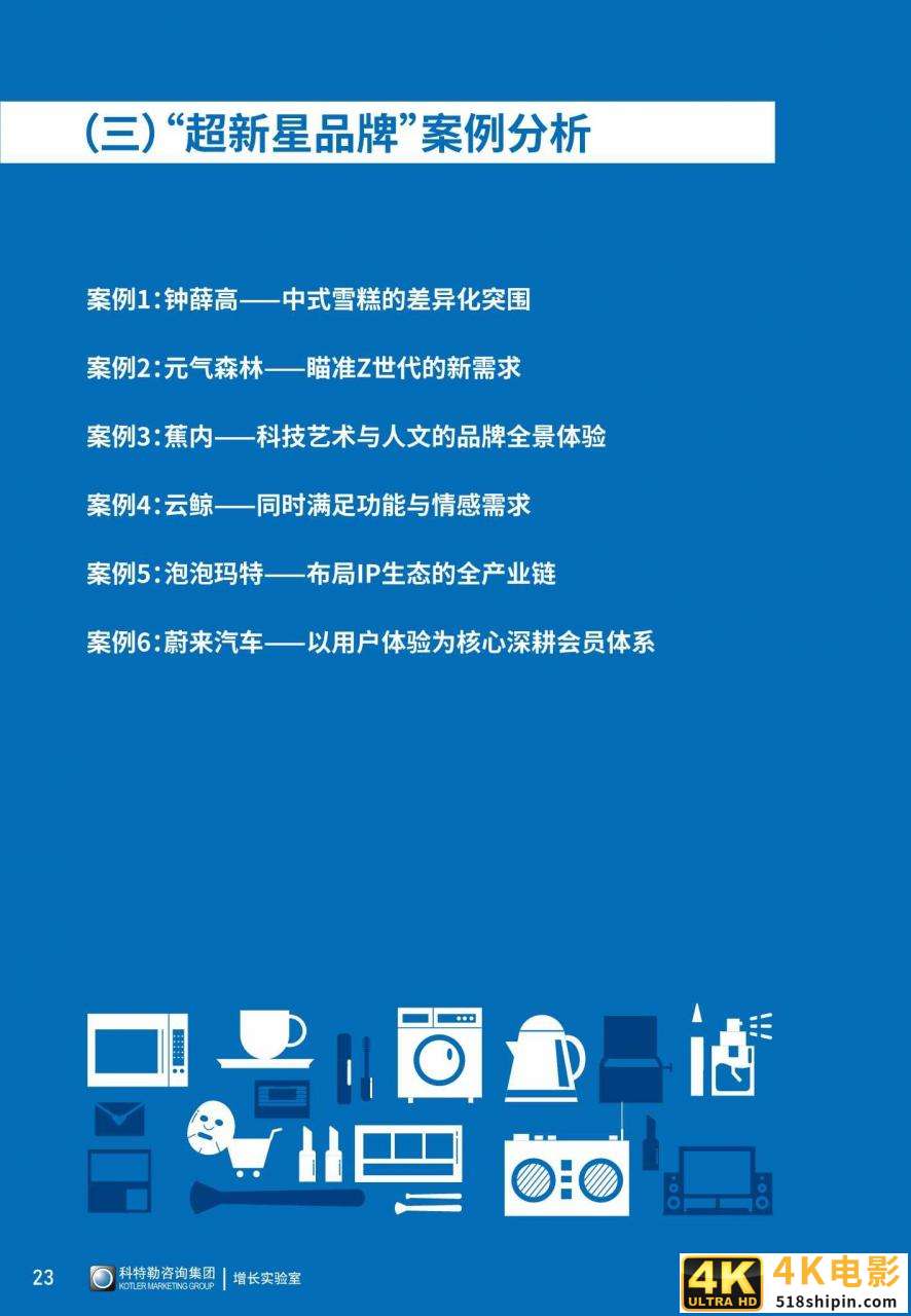 品类细分，需求挖掘：2021超新星品牌白皮书（推荐）-第27张图片-90博客网
