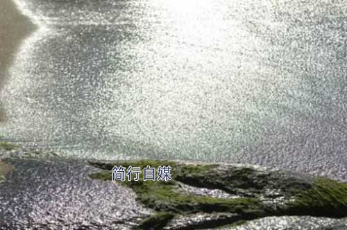 SEO优化的思维有哪些惯性陷井?-第2张图片-90博客网 SEO优化的思维有哪些惯性陷井?-第2张图片-90博客网