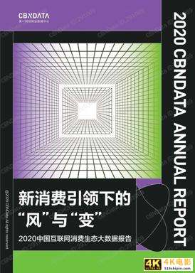 2020中国互联网消费生态大数据报告-第1张图片-90博客网