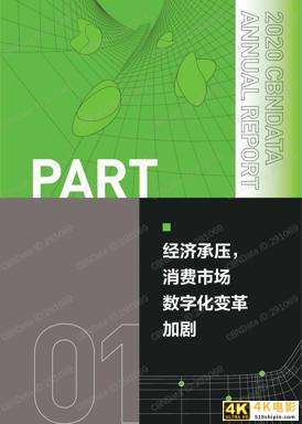 2020中国互联网消费生态大数据报告-第7张图片-90博客网