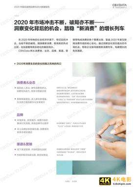 2020中国互联网消费生态大数据报告-第14张图片-90博客网