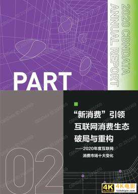 2020中国互联网消费生态大数据报告-第15张图片-90博客网