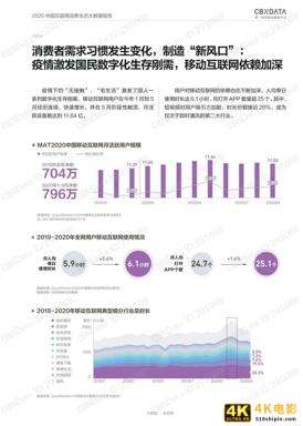 2020中国互联网消费生态大数据报告-第12张图片-90博客网