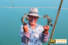 江浙沪混得好不好，看收没收到大闸蟹！天猫3000万只一天订完-第4张图片-90博客网