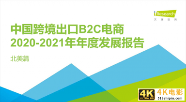 2020-2021年中国跨境出口B2C电商年度发展报告-第1张图片-90博客网