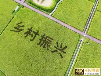 阿里突然宣布捐款1000亿元,是资本的良心发现,还是有利可图?-第6张图片-90博客网 阿里突然宣布捐款1000亿元,是资本的良心发现,还是有利可图?-第6张图片-90博客网