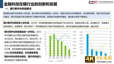 中国金融科技和数字普惠金融发展报告2020简版-第14张图片-90博客网