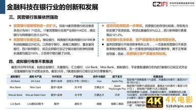 中国金融科技和数字普惠金融发展报告2020简版-第16张图片-90博客网