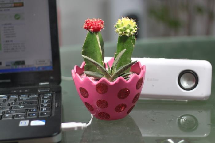 教您几招有效防止电脑辐射的方法-第1张图片-90博客网