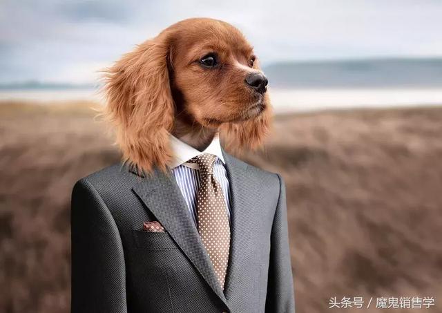 没背景的人，如何经营有价值的人脉？-第3张图片-90博客网