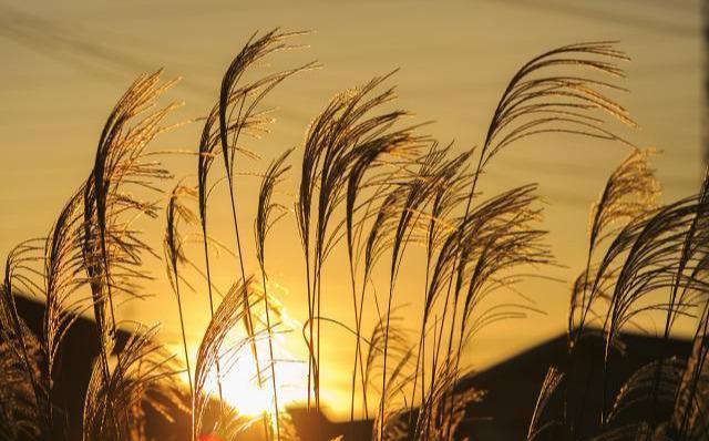 8个经营人脉的厚黑技巧！（行走社会必备）-第1张图片-90博客网