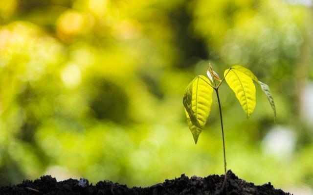 8个经营人脉的厚黑技巧！（行走社会必备）-第4张图片-90博客网