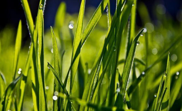 8个经营人脉的厚黑技巧！（行走社会必备）-第2张图片-90博客网