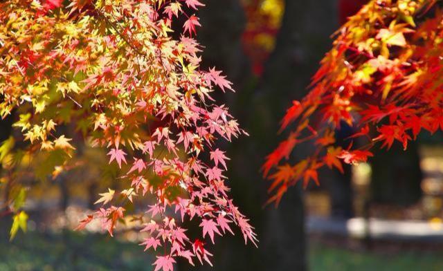 8个经营人脉的厚黑技巧！（行走社会必备）-第3张图片-90博客网