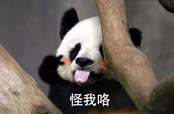 那些收款百万的销售型文案，究竟长什么样子-第2张图片-90博客网
