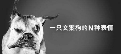 那些收款百万的销售型文案，究竟长什么样子-第4张图片-90博客网