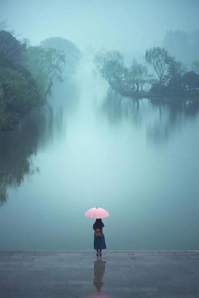 职场长大：有些人是树，有些人是鸟-第1张图片-90博客网