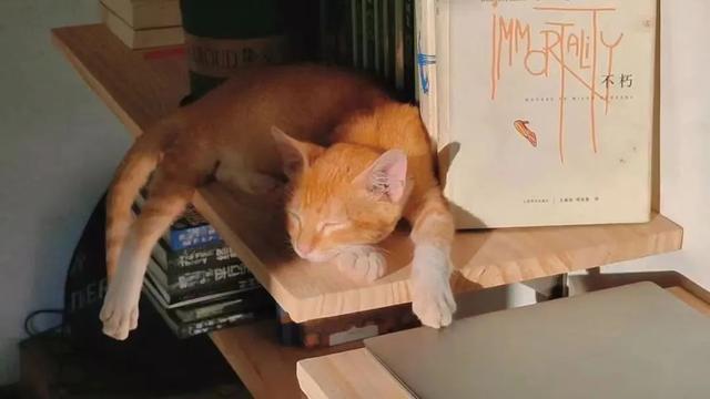 没钱却想提前退休，这些年轻人回老家，节衣缩食实现“财务自由”-第9张图片-90博客网