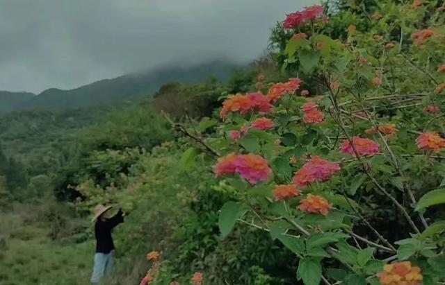 没钱却想提前退休，这些年轻人回老家，节衣缩食实现“财务自由”-第8张图片-90博客网