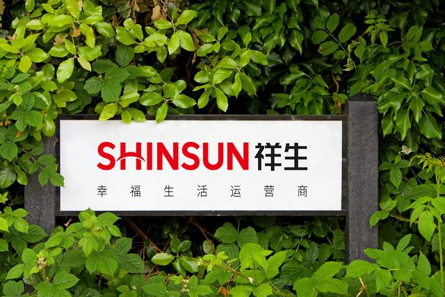 祥生控股前8个月销售额195.8亿元，采取多项措施改善财务状况-第1张图片-90博客网