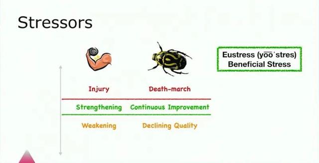 项目管理分享:如何驯服游戏开发过程中的“混乱”?-第2张图片-90博客网 项目管理分享:如何驯服游戏开发过程中的“混乱”?-第2张图片-90博客网