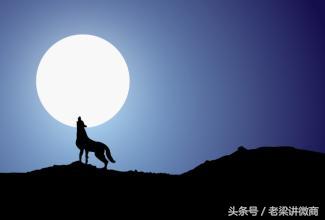 打造狼性微商团队-第1张图片-90博客网