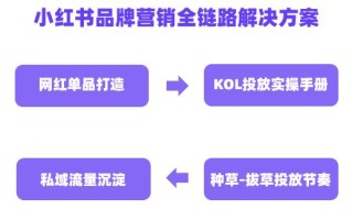 用户心智洞察｜小红书品牌营销全链路解决方案（一）