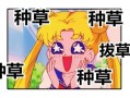 新「内容营销」时代，小红书种草又有哪些新打法？