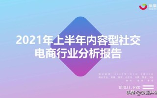 2021年上半年社交电商行业分析报告