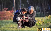养老金资本化，交给私人管会怎样？智利干翻车了，中国不得不防