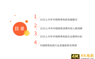 跨境电商行业研究：年轻群体消费潜力崛起，场景化消费趋势显著