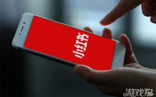 小红书广告投放平台效果怎么样