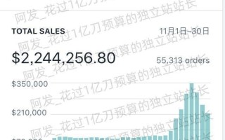 小白新手如何运营独立站？
