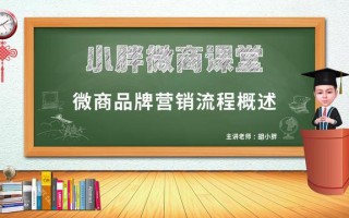 品牌运营胡小胖：微商品牌营销流程概述 - 新零售品牌起盘课堂