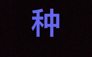 适合小红书运营推广的三种策略方式，新手小白必看!