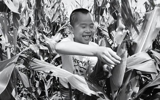 小说《摘酸枣的故事》